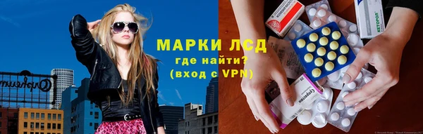 эйфоретик Богданович