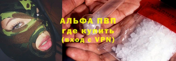 эйфоретик Богданович