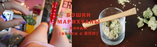 эйфоретик Богданович