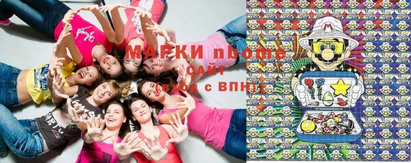mdpv Богородск