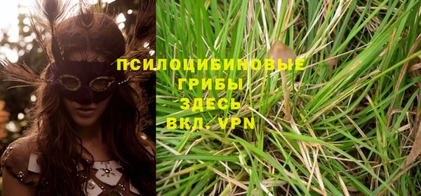 гашик Михайловка