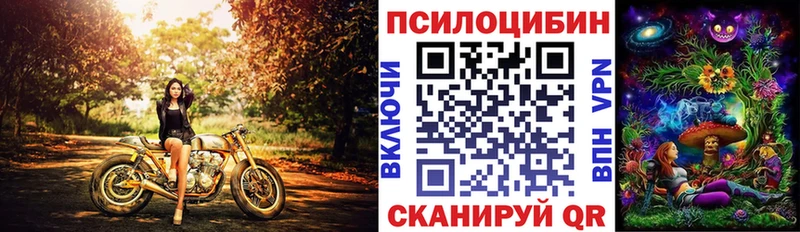 Псилоцибиновые грибы мицелий  Мариинский Посад 